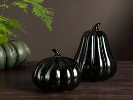 Lasikurpitsa | Vihre&auml;